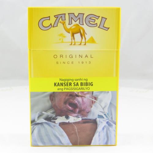 Camel Cigarettes: An Image Through Time
